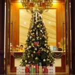 Spread joy this season with the perfect Christmas tree with lights. Learn how to buy and give back this holiday.